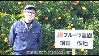 JR九州ファームのネーブルオレンジ：熊本