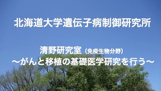 【免疫生物分野 vol.1 ～がんと移植の基礎医学研究を行う～】IGM紹介｜北海道大学遺伝子病制御研究所