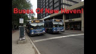 NeoplanDude | S5EP21: Buses Of CT Transit(New Haven Edition)!