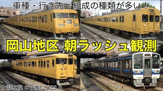 【岡山の長編成たちが集結！】朝ラッシュ観測 山陽線・伯備線 中庄駅にて 2022.8（倉敷始発の113系長船行き、117系4+4運用、特急やくも381系 ほか）