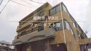 ファーネスト原　【室内動画】