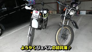 【モトブログ】オフ車始めました。　第268話　ジェベル兄弟！