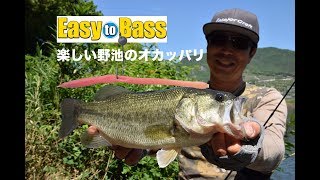 【メジャークラフト】Easy to Bass「ジグヘッドワッキーで挑む日中の野池」