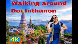 TH 4K HDR | Walking Around Doi Inthanon 2025 I Highest Spot in Thailand #4khdr60fps #thailandtrip