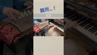 アニメ「この音とまれ！」天泣　箏ピアノアレンジ Tenkyuu piano koto #天泣 #piano #koto #この音止まれ #tenkyuu