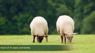 North Wyke Farm Platform (Rothamsted Research)