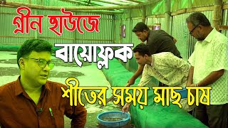 গ্রীন হাউজে বায়োফ্লক পদ্ধতিতে মাছ চাষ। শীতের সময় মাছ চাষ করা সম্ভব। সফল হাজীগঞ্জের তিন বন্ধু