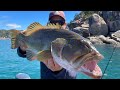 BIG CORAL TROUT l Fishing Magnetic Island, Townsville