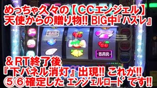 めっちゃ久々の【CCエンジェル】 天使からの贈り物！BIG中『ハズレ』＆RT終了後『下パネル消灯』が出現！これが⑤⑥確定したエンジェルロードです！【4月17日 デルグランド上横田店 中山馬鹿実践取材】