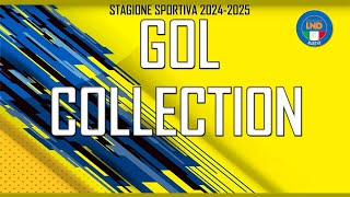 GOL COLLECTION 17