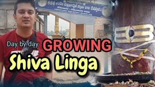 DAY BY DAY GROWING SHIVA LINGA : Untold story of Sri Sri Sri Endala Malikarjuna Swamy,Tekkali,A.P