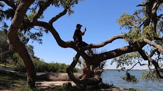 The Most Beautiful Day On Tampa Bay at Philippe Park