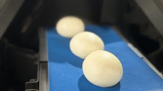 Automatic Dough Divider Rounder for Bread Bun