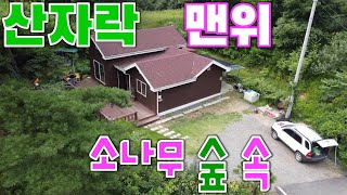 산자락 맨 위, 소나무 숲 속에 자리한, 한적한 횡성전원주택매매[매번 90821]