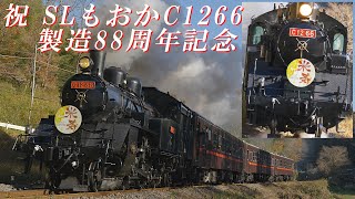 SLもおか蒸機C1266　祝！ 製造88周年記念「米寿」ヘッドマーク ＆ 赤ナンバープレート