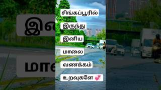 சிங்கப்பூரில் இருந்து இனிய மாலை வணக்கம் உறவே 💞 ‌#short#shorts#shortvideo#show#video#trending#travel