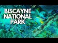 Explore The Underwater World Of Biscayne National Park Through Snorkeling