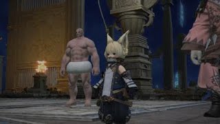 FF14 アルファ編　零式1層　クリア 忍者視点