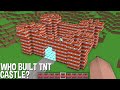 WHO BUILT this TNT CASTLE in Minecraft ? STRANGEST BUILDING !