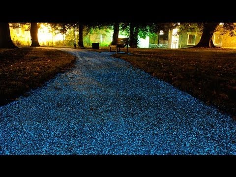 ‧ 日產 Leaf 電動車上有特殊塗層 到晚上會發光哦