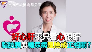 好心肝不只看心跟肝 脂肪胰與糖尿病風險成正相關？｜請問好心肝