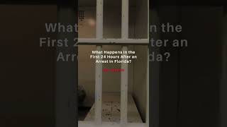 What happens in the first 24 hours after an arrest in Florida?