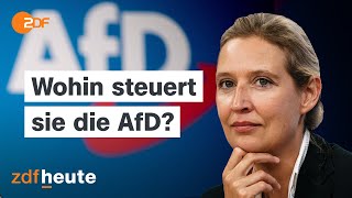 Alice Weidel und ihre Rolle in der AfD | Berlin direkt