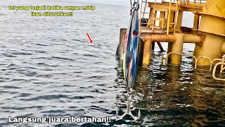 Mancing ikan besar umpan mirip ikan hidup langsung disambar!! Mancing ikan kakap