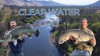 Overnight Drift for Murray Cod in Crystal Clear Water!