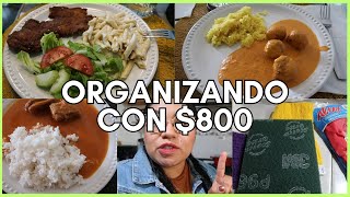 ✅ NUEVA ORGANIZACIÓN SEMANAL con $800 Pesos 😱 | Erika Blop