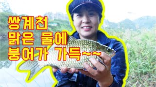 [세모낚TV]낚시밀착다큐/가수 강영철/ 의성 쌍계천/대물붕어/미스터\u0026미세스 대물추적42화/carp fishing/フナ釣り/a married fisherman/夫婦釣り人