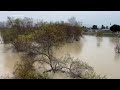 levee breaks near california s parajo river