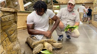 TORTOISE MARIO CART - ZOO TOUR with ZION