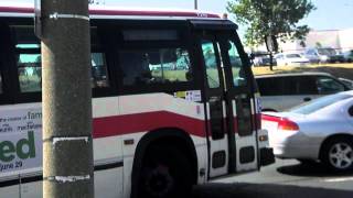 TTC - 1998 Novabus RTS-06 WFD #7219