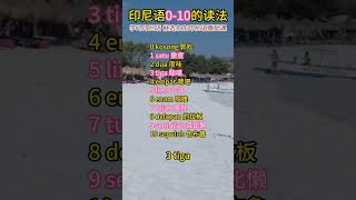 印尼语0 10的读法｜东东印尼语｜学习印尼语｜印尼文｜Bahasa Indonesia #印尼语 #学习印尼语 #bahasaindonesia