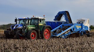 Fendt 820 + Standen T2 Mega Potato harvesting - W.R Jackson \u0026 son - Cambridgeshire