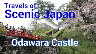 No. 148  Odawara Castle in Kanagawa Prefecture / Travels of Scenic Japan / Tabiator