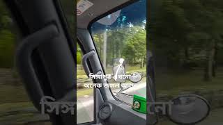 অনেক বড়ো বন #youtubeshorts #viral #youtube #shortvideo #trending #foryou #love #shorts