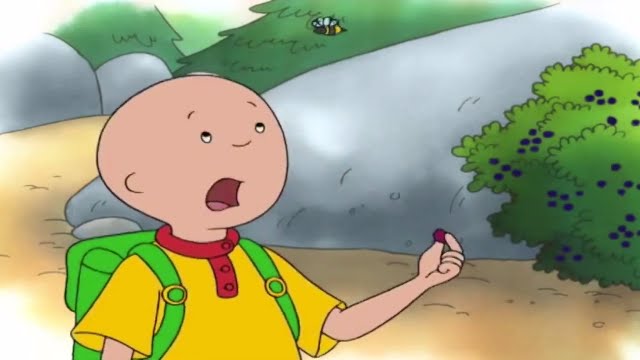 Caillou Full Episodes | One, Two, Boom! Hour Long Compilation Special ...