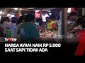 Susul Daging Sapi, Kedelai, Dan Minyak Goreng, Harga Ayam Naik di Pasar | Kabar Pasar tvOne