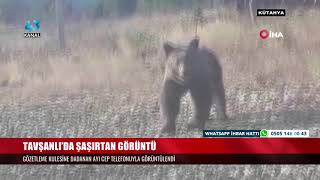 TAVŞANLI’DA ŞAŞIRTAN GÖRÜNTÜ