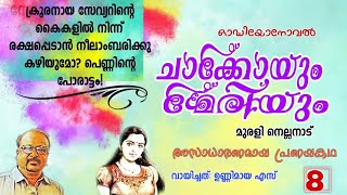 8.ചാക്കോയും മേരിയും| മുരളി നെല്ലനാട് |#muralinellanadnovels#storytelling #malayalam #malayalamnovel