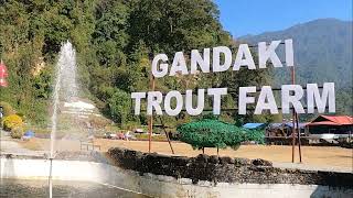 GANDAKI RAINBOW TROUT FISH FARM POKHARA/ KIDSMANDU