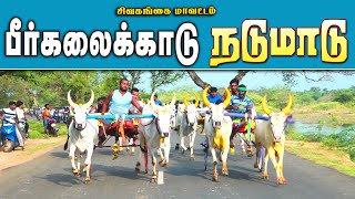 5நடுமாடுபீர்களைகாடு-சிவகங்கைமாவட்டம்-10.05.2023#krish_studiorethinakkottai_rekla_race