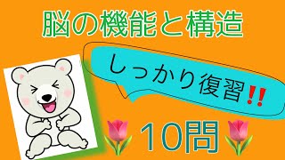 【🌼脳の構造‼︎機能🌼】復習10問にチャレンジ‼️ 大脳基底核・視床下部など　公認心理師、精神保健福祉士　国家試験対策‼︎