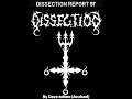 Dissection report 91 by dave rotten avulsed