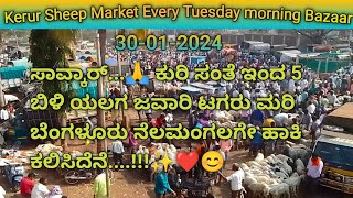 ಕೆರೂರ್ ಕುರಿ ಮತ್ತು ಮೇಕೆ ಮಾರುಕಟ್ಟೆ | Every Tuesday morning | kerur Tagaru sheep | @gdfchannel8724 |