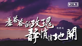 杨胖雨 - 羞答答的玫瑰静悄悄地开【動態歌詞/Lyrics Video】