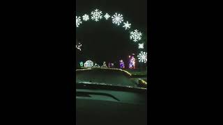 Spanaway Lake Park christmas lights #shorts