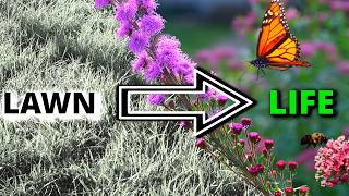 How I Turned My Front Lawn into a Native Pollinator Garden